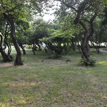 Happy Vacation 2 Varna