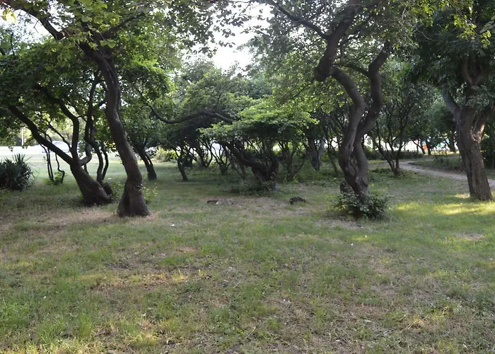 Happy Vacation 2 Varna